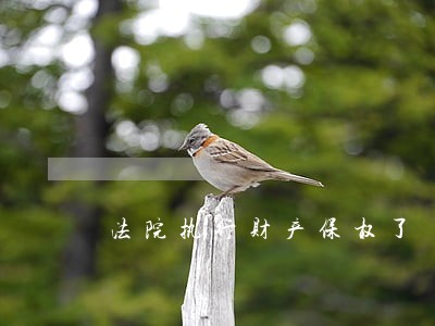 法院执行财产保权了 法院执行财产保权了