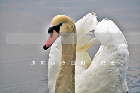 法院执行贵阳公积金 法院执行贵阳公积金