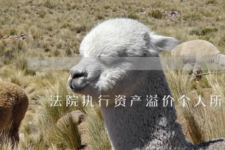 法院执行资产溢价个人所得税 法院执行资产溢价个人所得税
