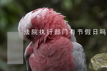 法院执行部门有节假日吗