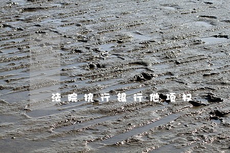 法院执行银行他项权 法院执行银行他项权