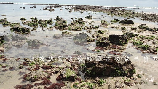 法院执行阶段的还款协议书格式