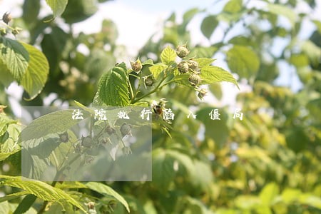 法院执行陷入僵局 法院执行陷入僵局