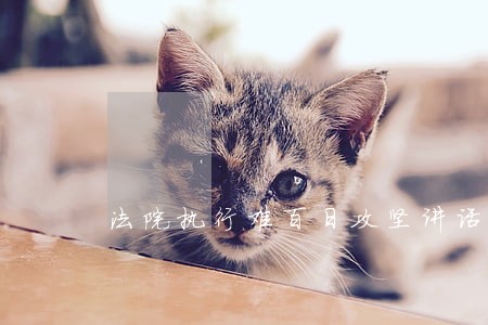 法院执行难百日攻坚讲话 法院执行难百日攻坚讲话