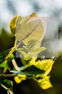 法院执行验收讲话 法院执行验收讲话