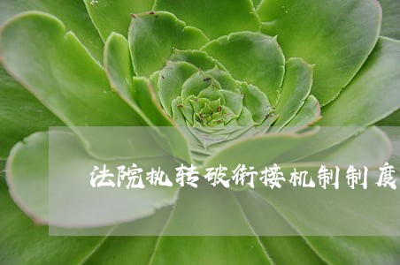 法院执转破衔接机制制度 法院执转破衔接机制制度