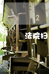 法院扫黑专项斗争实施方案 法院扫黑专项斗争实施方案