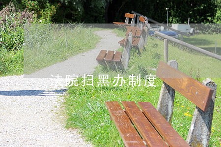 法院扫黑办制度 法院扫黑办制度