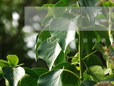 法院扫黑除恶宣讲进校园 法院扫黑除恶宣讲进校园