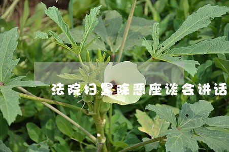 法院扫黑除恶座谈会讲话稿 法院扫黑除恶座谈会讲话稿