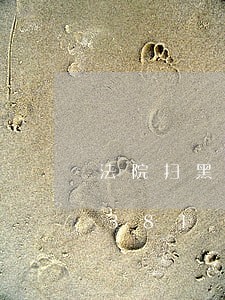 法院扫黑除恶档案/2023030365381