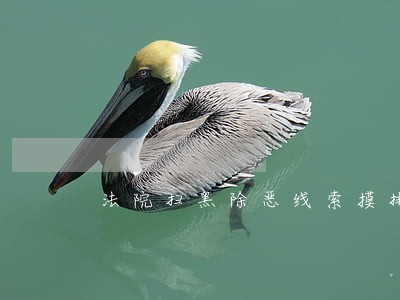法院扫黑除恶线索摸排报告 法院扫黑除恶线索摸排报告