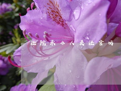 法院承办人是法官吗 法院承办人是法官吗