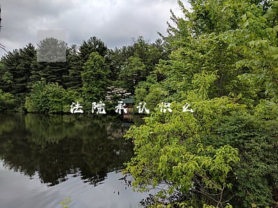 法院承认识么