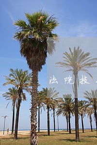 法院技术工程师工资
