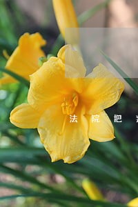 法院把判决书寄到我老家去了 法院把判决书寄到我老家去了