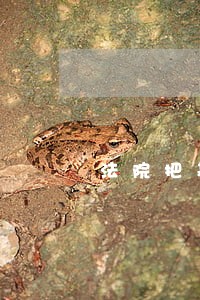 法院把基本户冻结了 法院把基本户冻结了