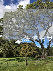法院把我结婚证收走了 法院把我结婚证收走了