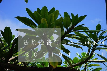 法院把银行卡冻结可不可以从办卡/2023021940771