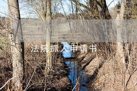 法院抓人申请书 法院抓人申请书