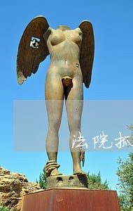 法院抓执行工作报告