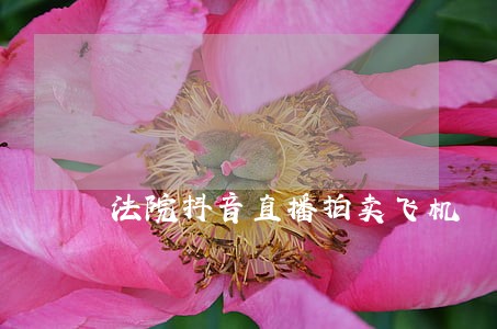 法院抖音直播拍卖飞机 法院抖音直播拍卖飞机