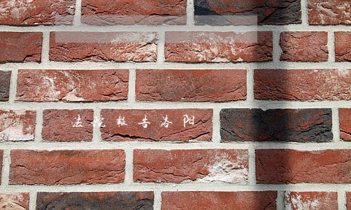 法院报告洛阳 法院报告洛阳