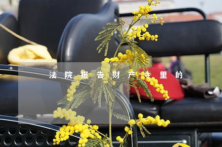 法院报告财产令里的 法院报告财产令里的