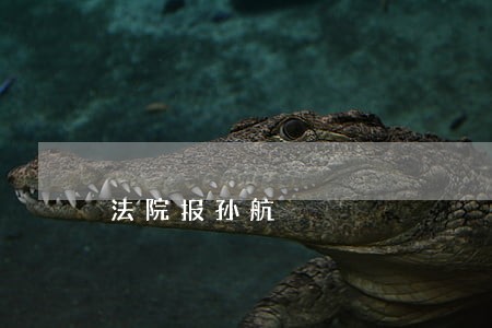 法院报孙航