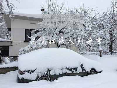 法院担保人判决书 法院担保人判决书