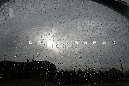 法院担保人执行通知书 法院担保人执行通知书