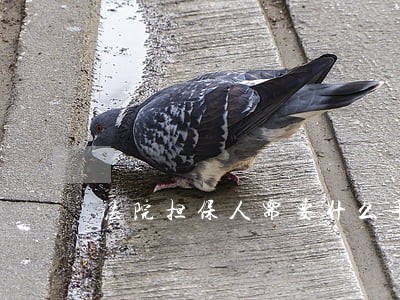 法院担保人需要什么手续 法院担保人需要什么手续