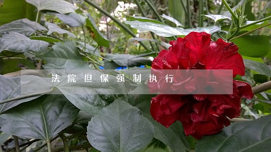 法院担保强制执行 法院担保强制执行