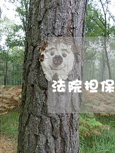 法院担保物变更 法院担保物变更