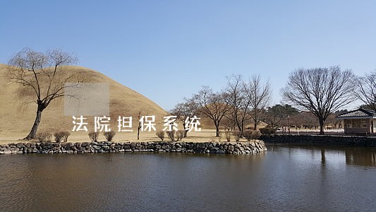 法院担保系统 法院担保系统