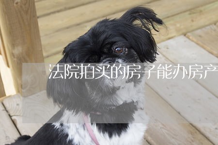 法院拍买的房子能办房产证吗 法院拍买的房子能办房产证吗