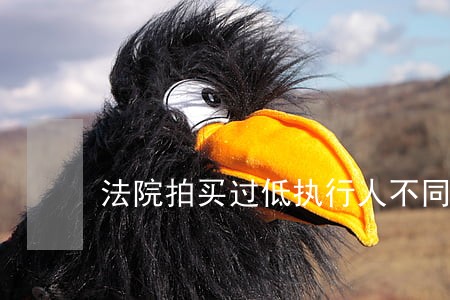 法院拍买过低执行人不同意怎 法院拍买过低执行人不同意怎