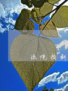 法院拍到房产一出 法院拍到房产一出