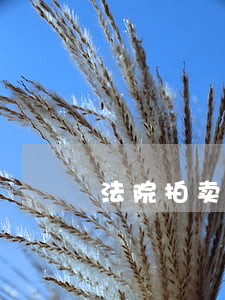 法院拍卖一手车 法院拍卖一手车