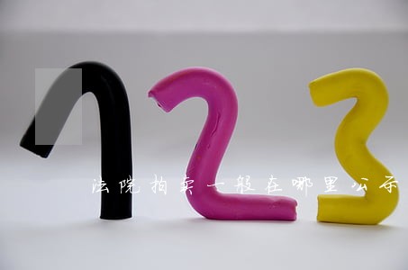 法院拍卖一般在哪里公示