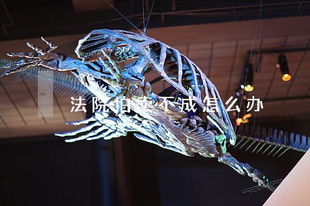法院拍卖不成怎么办 法院拍卖不成怎么办