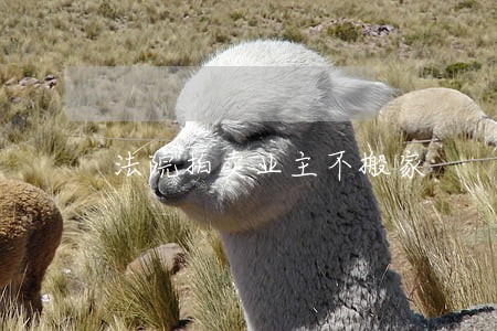 法院拍卖业主不搬家