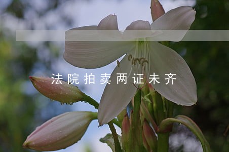 法院拍卖两证未齐 法院拍卖两证未齐