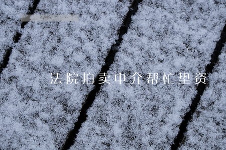 法院拍卖中介帮忙垫资
