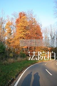 法院拍卖中提执行异议 法院拍卖中提执行异议