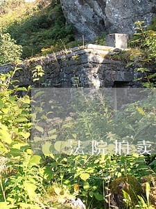法院拍卖了房子170万 法院拍卖了房子170万