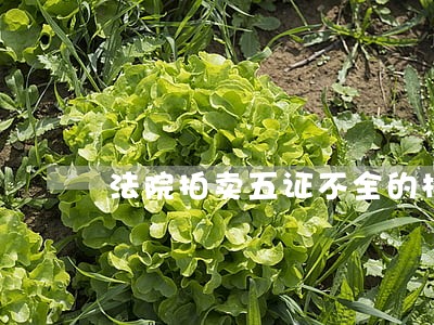 法院拍卖五证不全的楼房可以买吗 法院拍卖五证不全的楼房可以买吗