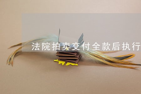 法院拍卖交付全款后执行异议 法院拍卖交付全款后执行异议