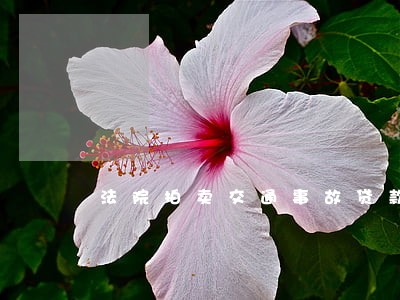 法院拍卖交通事故贷款车辆 法院拍卖交通事故贷款车辆