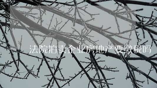 法院拍卖企业房地产要缴税吗 法院拍卖企业房地产要缴税吗